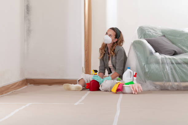 Reliable Mold Remediation contractor in Burlington, WA by Cheap Mold Removal